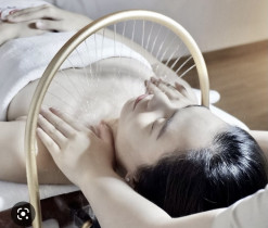 0-4981_0-4847_0-4758_img_0819_873_644